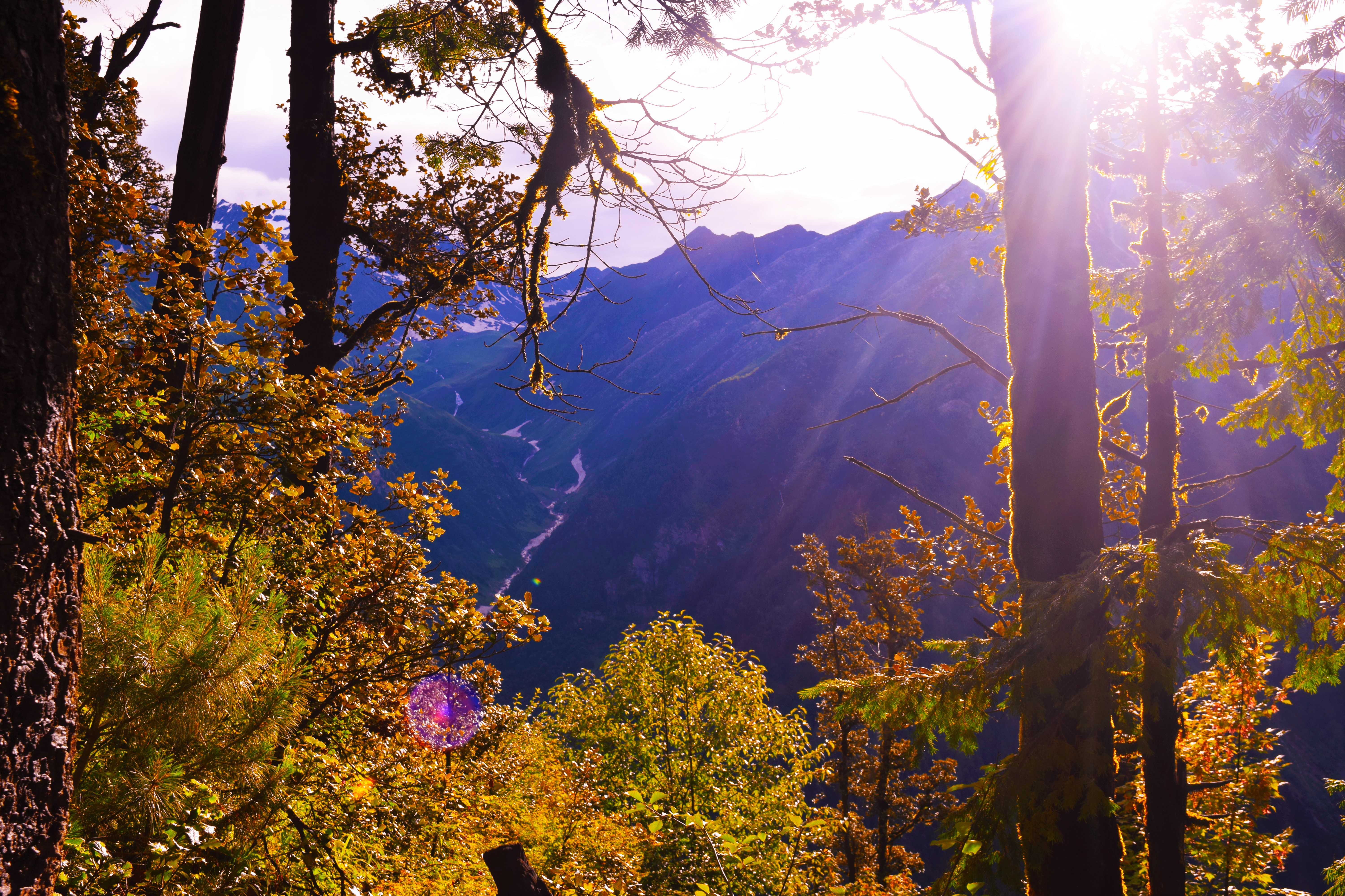 A lifetime journey (yatra)